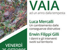 L'impronta di Vaia